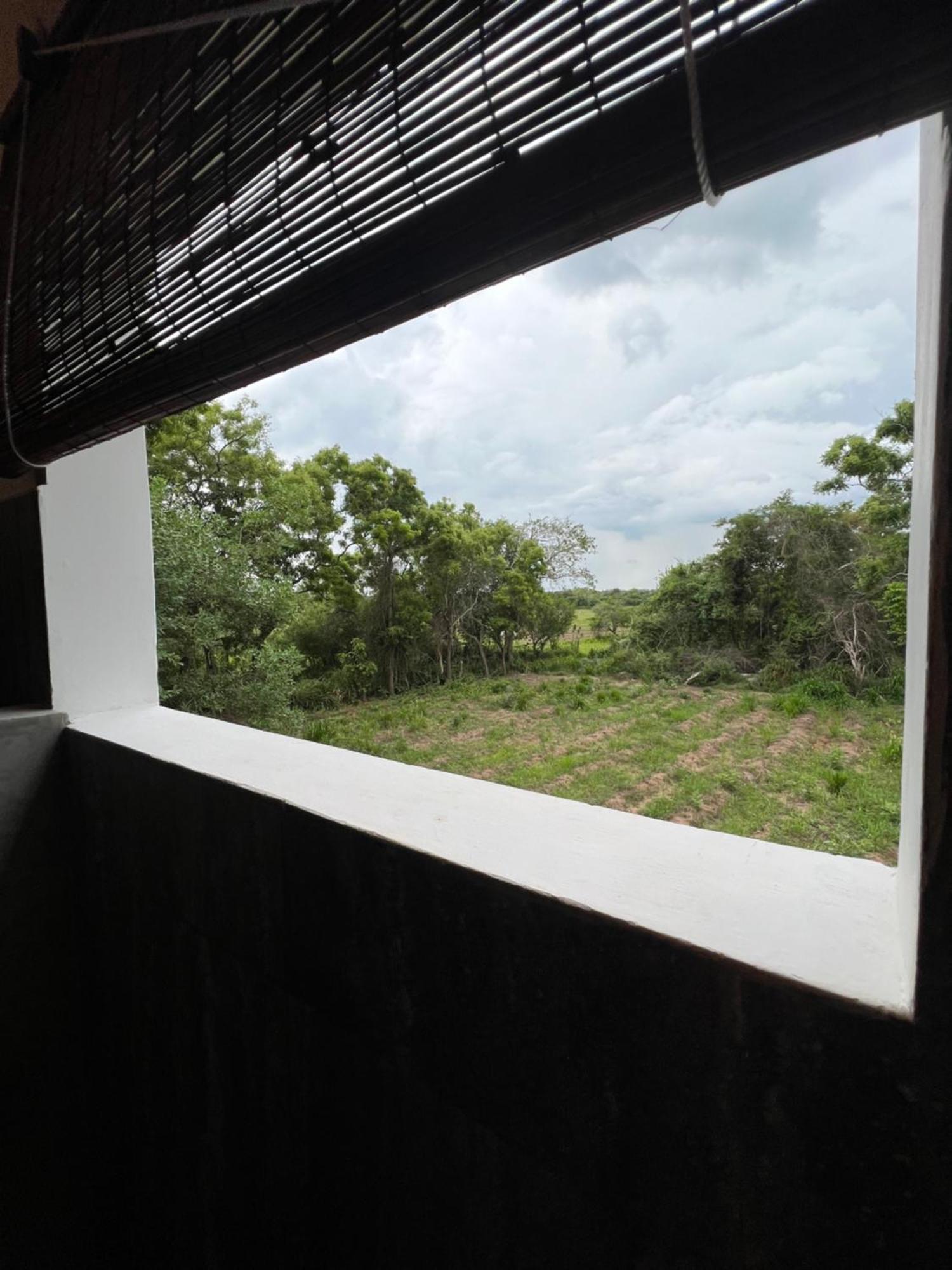 Tembo Cottage Wilpattu Εξωτερικό φωτογραφία